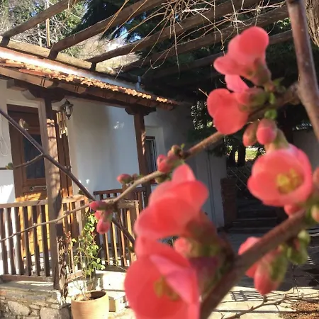 Casa vacanze Milieshome - #116662